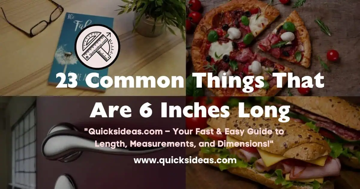 An informative graphic showcasing 23 common things that are 6 inches long, illustrating their sizes for easy comparison.