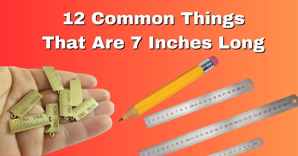 12 Common Things That Are 7 Inches Long