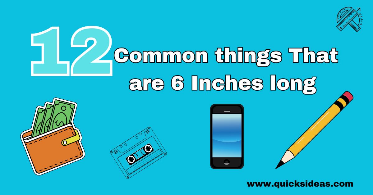 12 Common things That are 6 Inches long