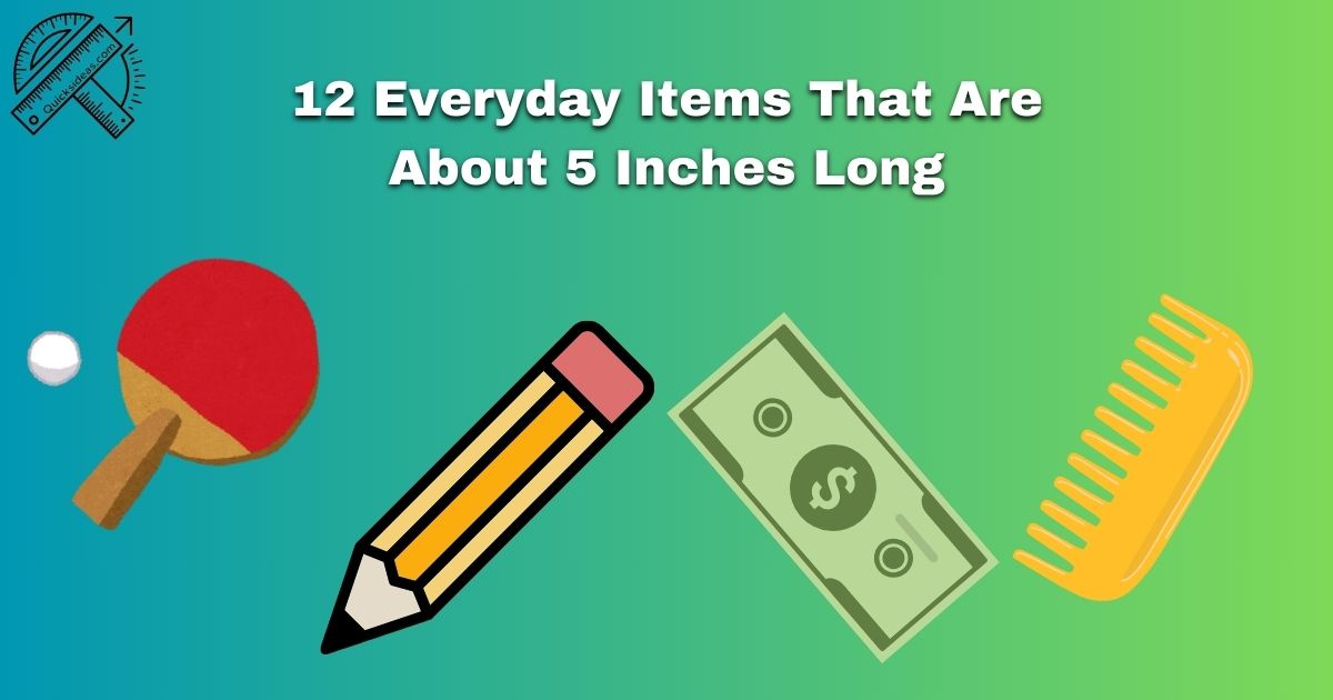 12 Everyday Items That Are About 5 Inches Long